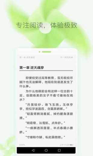 猫猫小说