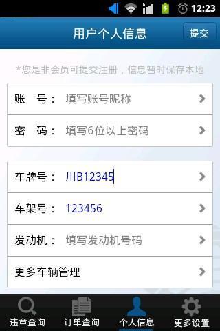交通违章查询
