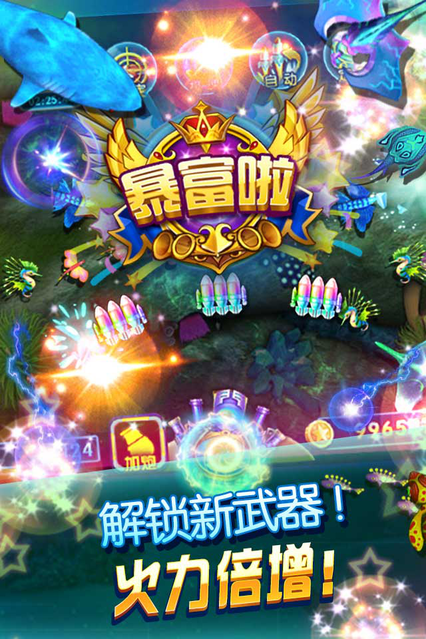 胜亚国际