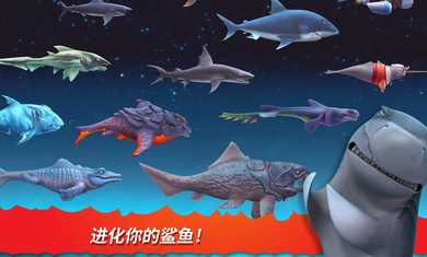 饥饿鲨进化