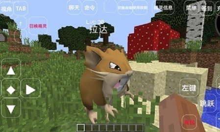 我的世界
