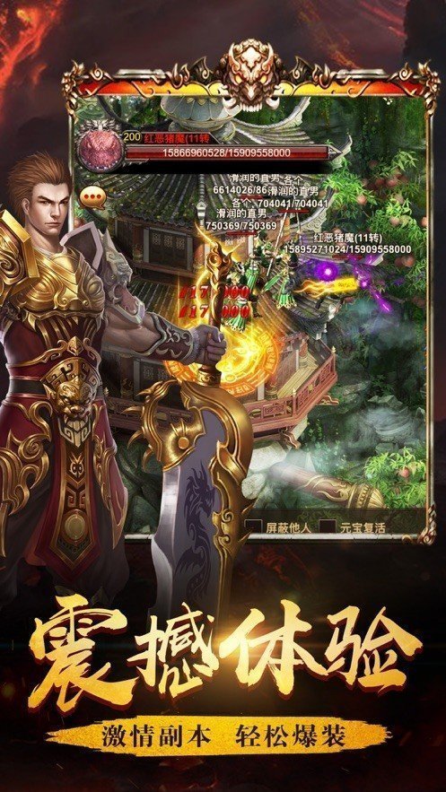 176纯金币复古传奇