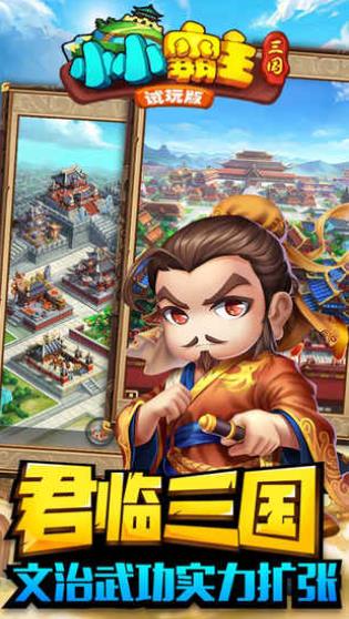 小小霸主