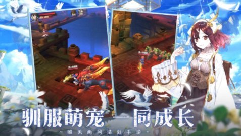 塞尔奇缘