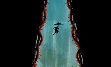 忍者武士岚2破解版