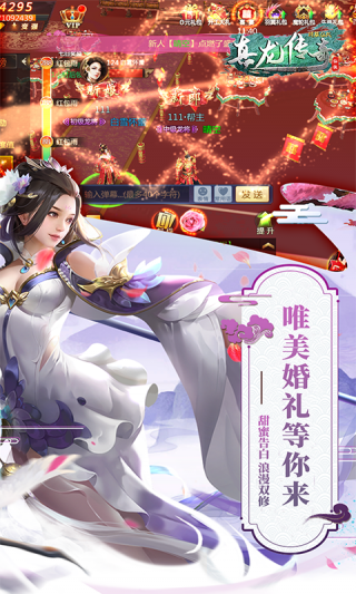 真龙传奇剑荡九州BT