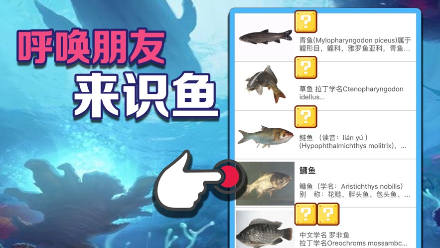 飞七棋牌