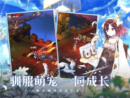塞尔奇缘