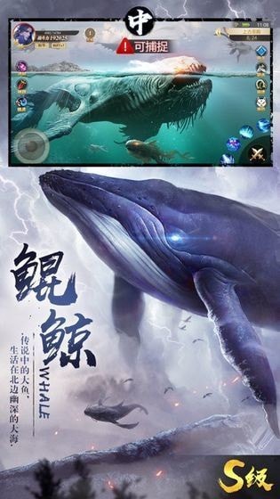 幻梦千古