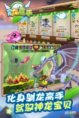 育龙高手