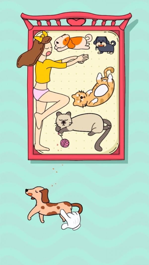狗狗快上床