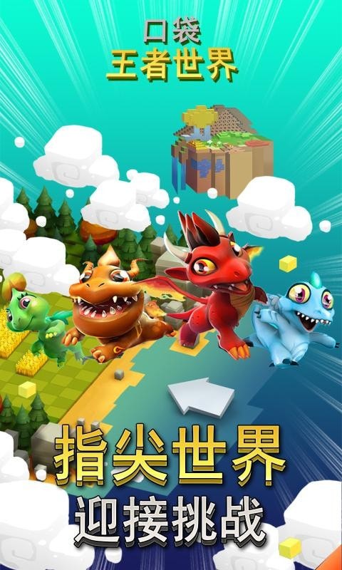 口袋王牌