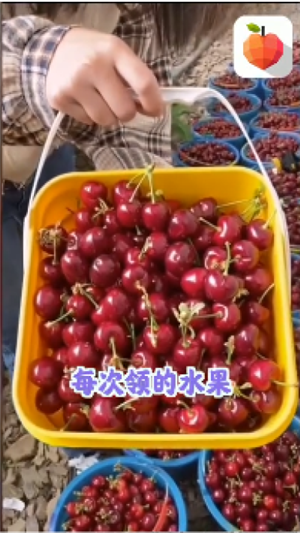 欢乐水果连连看