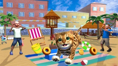 捣蛋猫