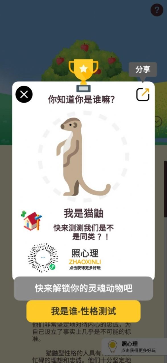 我是谁我在哪