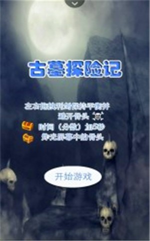古墓探险家