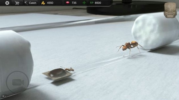 蚂蚁模拟3D