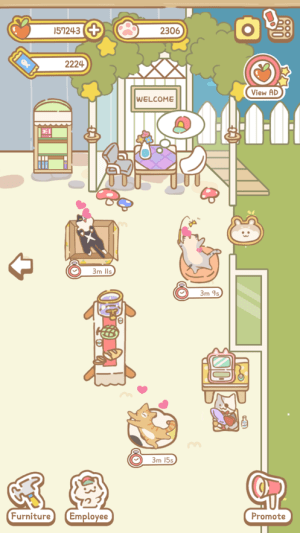 猫猫水疗馆不减