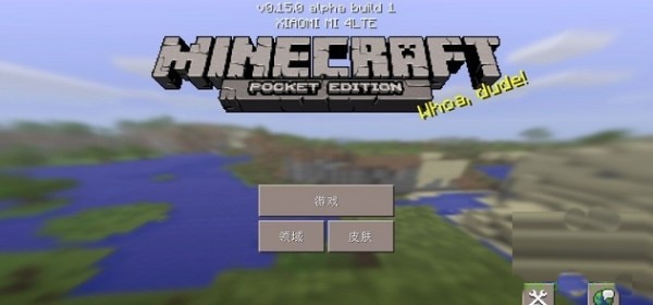 我的世界