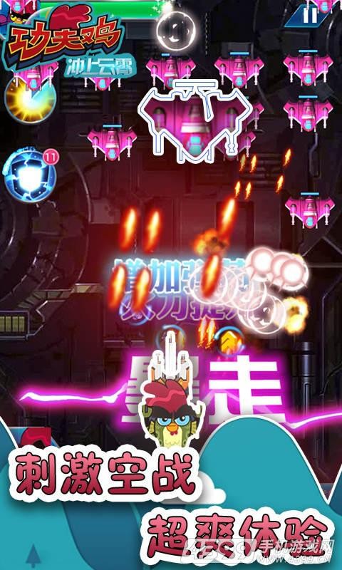 功夫鸡