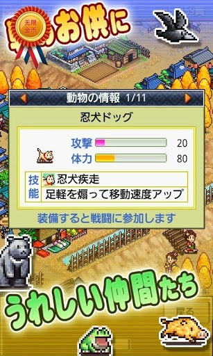 彩虹小马 小马国女孩